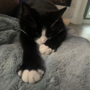 Meet your Posher, Carol-ann